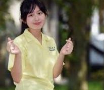 介绍