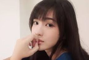 资讯页表单柔和